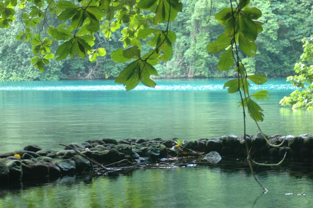Moon San Villa At The Blue Lagoon Port Antonio Ngoại thất bức ảnh